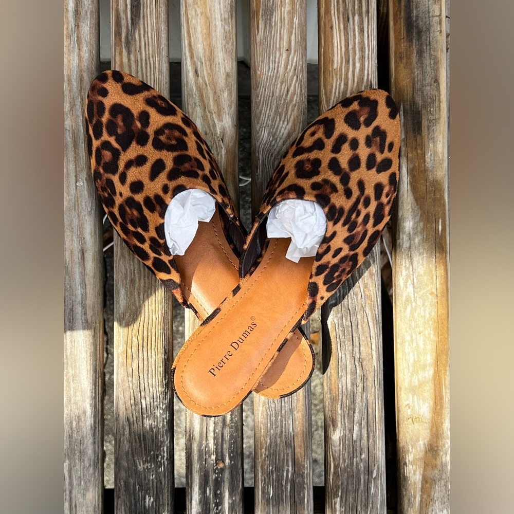 Pierre Dumas Leopard Kenny 1 Slides
